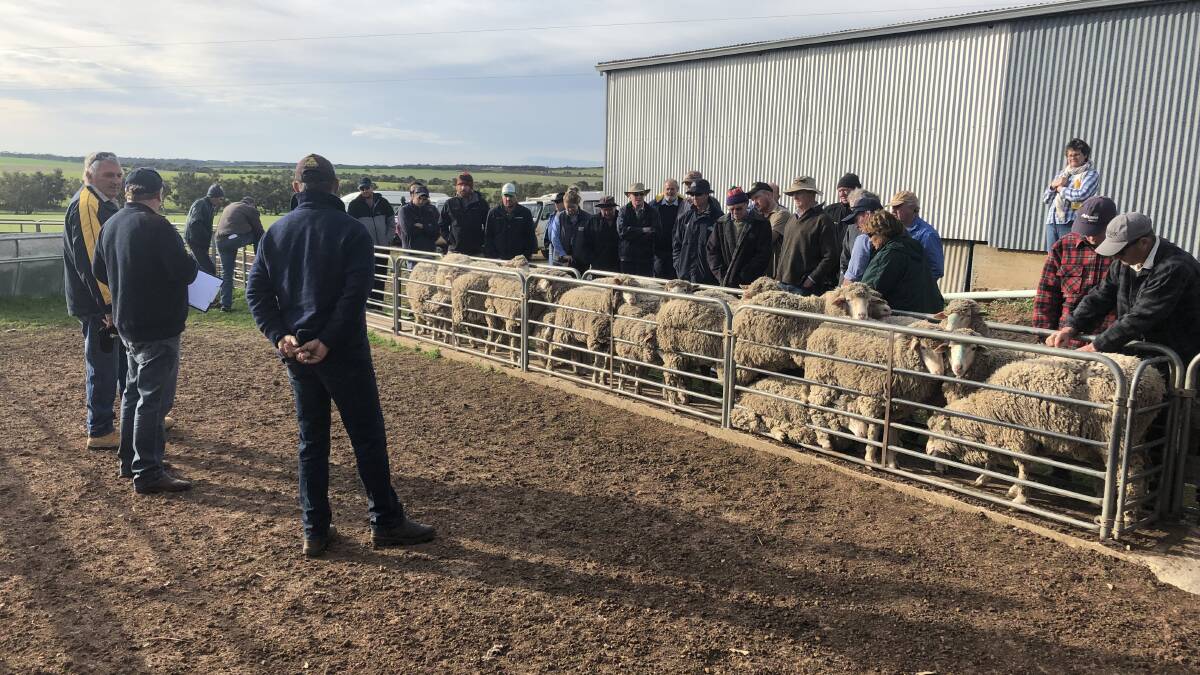 Judge Wayne Button, Manunda stud, Tammin, speaks to participants and interested visitors at the Martin family's property during the Badgingarra Merino Ewe Hogget Competition last week.