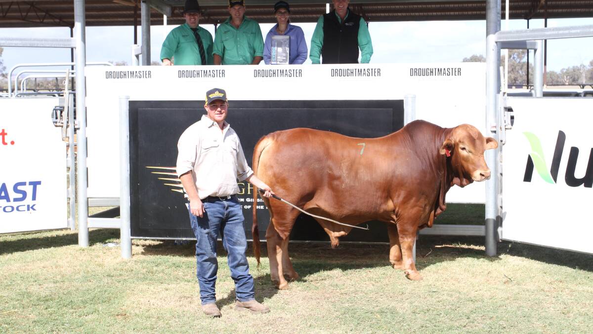With the $42,500 top-priced bull Munda Reds Golden Boy 4779 (PP) (by Oasis A Hudson) at the Munda Reds Droughtmaster second annual on-property bull sale at Gingin last week were auctioneer Dane Pearce (left), Nutrien Ag Solutions stud stock, Rockhampton, Queensland, Nutrien Livestock, pastoral agent Daniel Wood who purchased the bull on behalf on the Paull family, Davis River Pastoral, Nullagine via Newman, top-priced bull sponsor Kylie Meloury, Virbac central WA area sales manager, Nutrien Livestock, pastoral agent Shane Flemming and Munda Reds Glencoe manager Ben Wright.