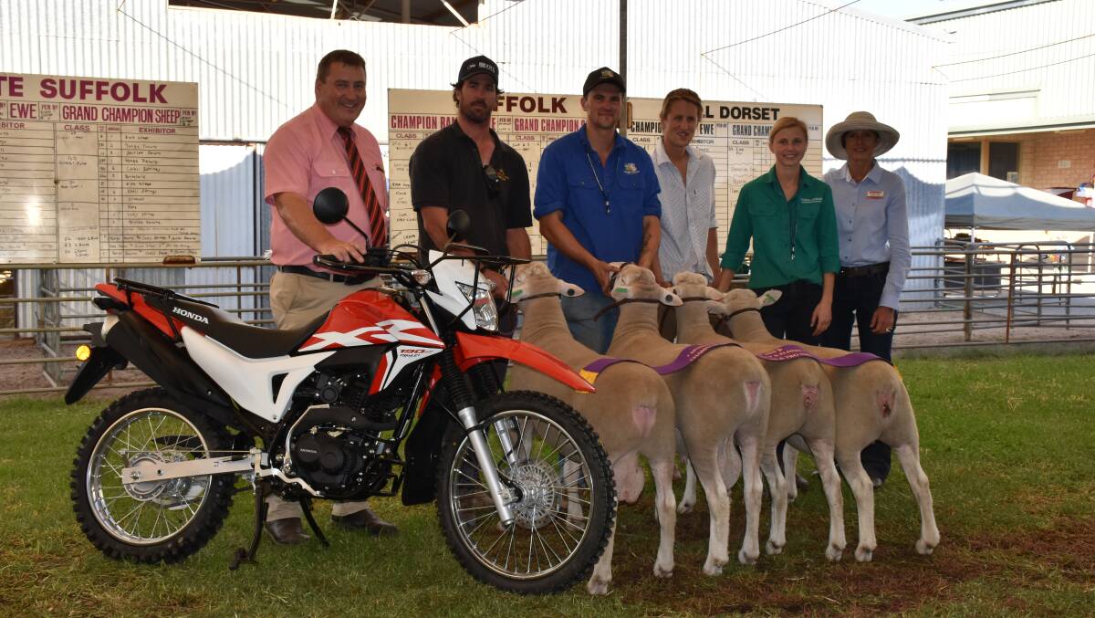 The Yonga Downs White Suffolk stud, Gnowangerup, took home the Farm Weekly-Elders sponsored motorbike in the British and Australasian Breeds section at the 2020 Make Smoking History Wagin Woolorama, when its group of two rams and two ewes were put in first place in the judging.
