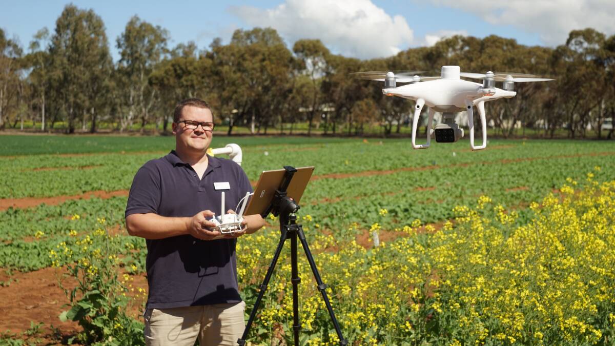 DPIRD research scientist Dustin Severtson is leading a Grains Science Partnership project to examine the use of drones as a tool to assess crops for pest damage.