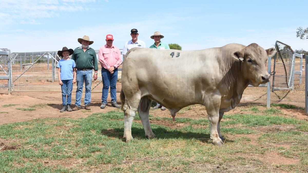 The top price in the Murray Grey offering was $21,000 for this bull Venturon Rectify R1 when it sold to Bullco, Wundam Park stud, Boyup Brook in partnership with Premier Cattle Co, New Zealand. With the bull were Wundam Park principal David Corker (second left) and his grandson Boston Walker, Elders, Donnybrook representative Pearce Watling, Venturon Livestock co-principal Harris Thompson and Nutrien Livestock, Manjimup and Bridgetown representative Laurence Grant.