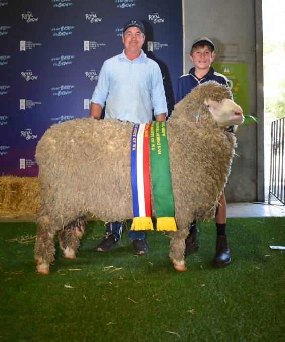 The reserve grand champion August shorn Poll Merino ram was exhibited by the Eastville Park stud, Wickepin, with stud co-principal Grantly Mullan and son Hugh. The ram was also sashed champion August shorn strong wool Poll Merino ram.