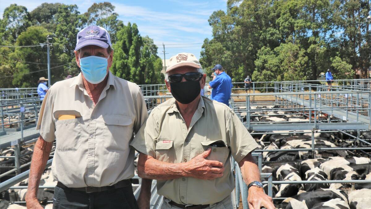 Regular buyers at Boyanup sales, Ross Jamieson (left), Capel and Lou Tuia, Donnybrook, were at the sale. Mr Jamieson took home several pens of Friesian steers up to $1583.