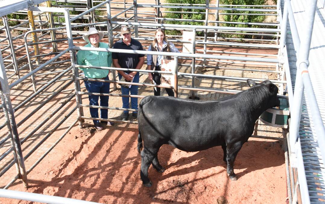 With the $13,500 second top price bull at the Mordallup Angus yearling bull sale last week purchased by H Wolfe & Co, Bornholm, were Nutrien Livestock South West manager Peter Storch (left) and Mordallup's Mark and Diana Muir.