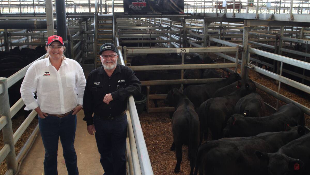 Australian Angus Society commercial supply chain manager Liz Pearson and Nutrien Livestock auctioneer and Dandaragan agent Brad Keavers with some of the large numbers of Angus steer and heifer weaners on offer in the Black Friday special Angus weaner sale.
