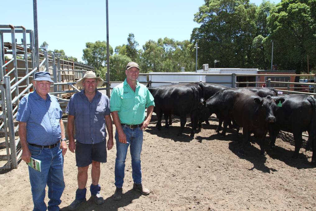 A new $4100 Australian record top price for PTIC commercial Angus heifers was set for two lines of heifers at the Nutrien Livestock Mated Beef Female sale at Boyanup last week. With one of the lines of Angus heifers were buyer Noel Holdsworth (left), ND & BJ Holdsworth, Bridgetown, vendor Graeme Oliver, GW & J Oliver, Kirup and Dean Taaffe, Nutrien Livestock, Donnybrook. The six syncro AI mated heifers are due to calve to an Angus bull from March 1 to April 27.