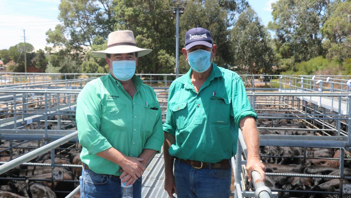 Nutrien Livestock, Boyup Brook agent Jamie Abbs (left), on the rail with Greg Angilley, Mt Barker. Mr Abbs was an active buyer again while Mr Angilley purchased a pen of the Phillips family's Angus heifers for $1820.