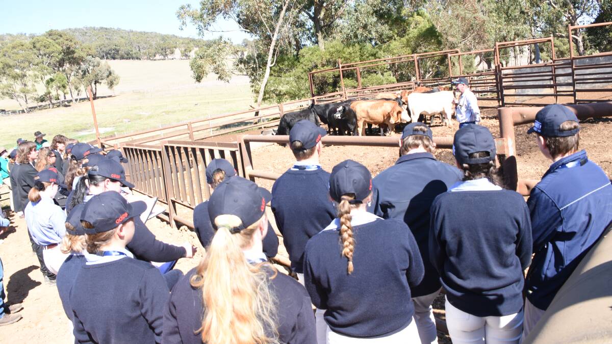 Steve Moir gave a presentation to the students on stock handling as part of the schools challenge. Later students from each team were marked on their stock handling skills.