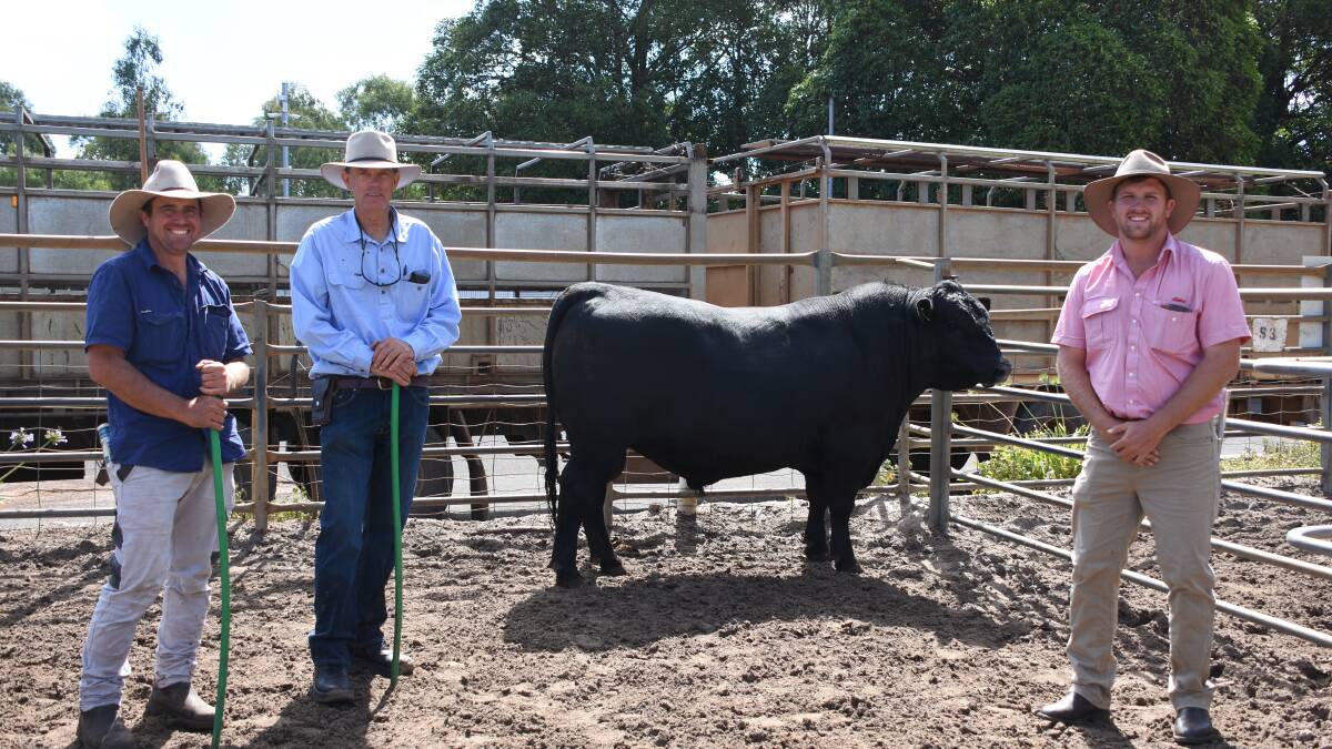 This bull sold for the $18,500 second top price in the Blackrock Angus bull sale last week at Boyanup to the Darlow family, Darlow Pastoral, Condingup, who bid through AuctionsPlus. With the bull is Blackrock representative Clemens Kiessig (left), Blackrock stud principal Ken MacLeay, Vasse and Elders, Busselton representative Jacques Martinson.