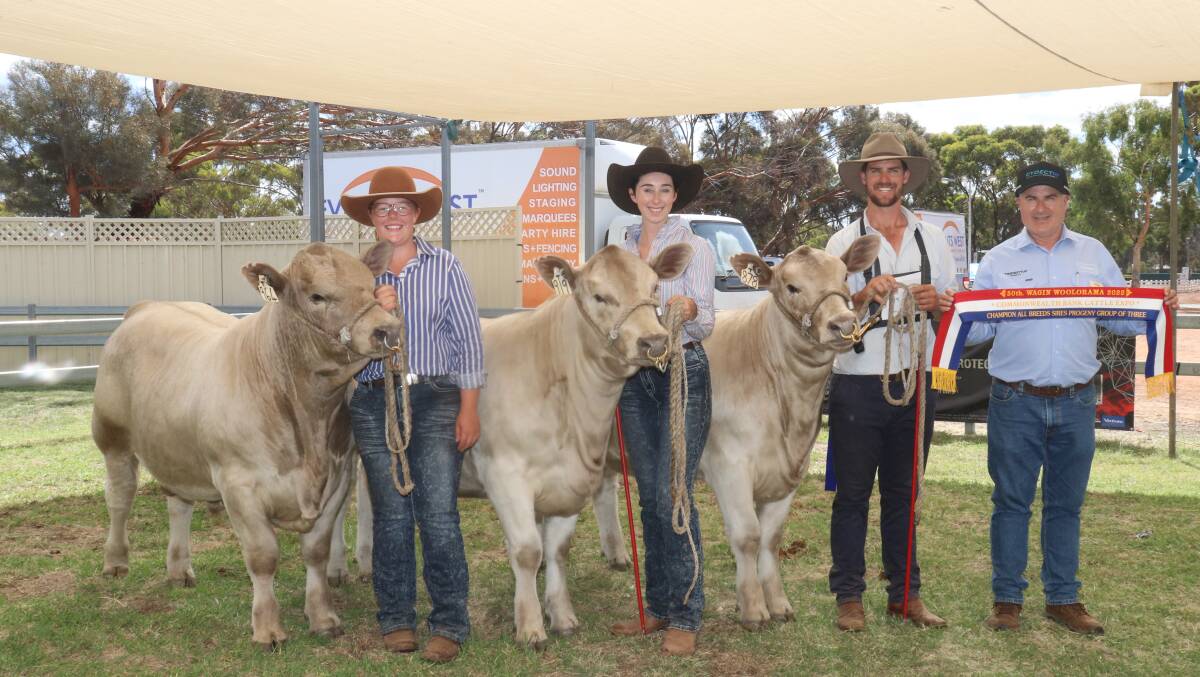 The Virbac Sire Progeny Group was exhibited by the Southend Murray Grey stud, Woodanilling. Holding the group were handlers Jayne Thompson (left), Libby Miell and Southend stud co-principal Kurt Wise and were congratulated by award sponsor Tony Murdoch, Virbac Australia Animal Health.