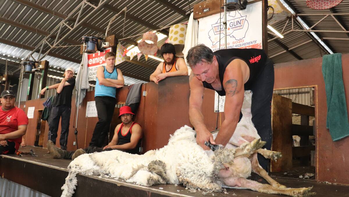  Learner and novice shearers at a Rylington Park shearing school watch as Todd Wegner, Heiniger WA territory sales manager and accredited shearing instructor, demonstrates his craft during a visit.