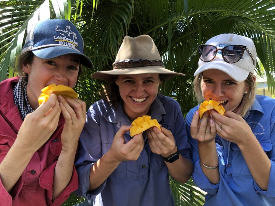 Charlotte Thomson (left), Holly Cattermole and Chelsea Bailey, Kununurra-based officers with the Department of Primary Industries and Regional Development, putting their taste buds to the test trying the new mango varieties.