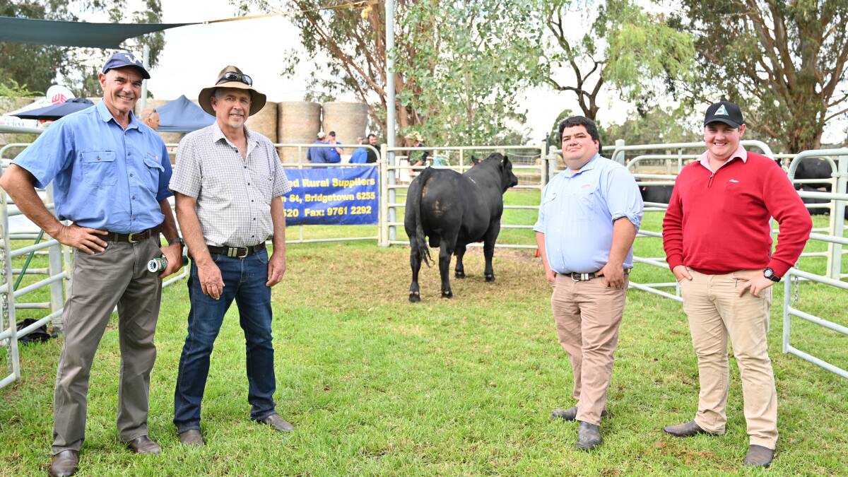 With the $19,500 top-priced Black Simmental bull, Bonnydale Augustus R084, at the Introvigne family's 25th annual on-property Bonnydale Black Simmental and SimAngus yearling bull sale at Bridgetown on Monday were Boehringer territory sales manger Rick Derickx (left), Bonnydale stud co-principal Rob Introvigne, top-priced bull buyer sponsor Jarvis Polglaze, Zoetis and Pearce Watling, Elders Donnybrook, who secured the bull for Jason and Jacqueline Impey, Mala-Daki Simmental stud, Tamworth, NSW, together with twin daughters Jessica and Jennifer Impey, Lucky Clover Simmental stud.