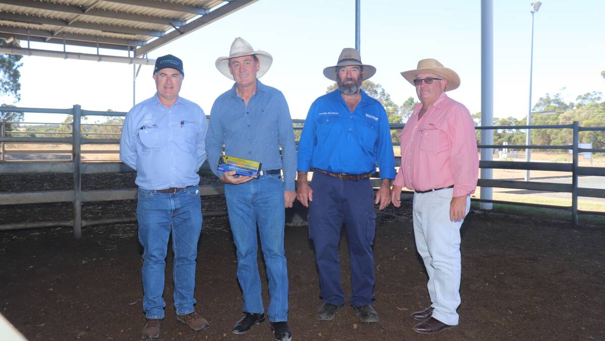 Taking home the top-priced $11,000 bull and the Virbac sponsorship product, was Shane Kelliher, Kelliher Bros, Wandering. Virbac area sales manager Tony Murdoch (left) presented the top-priced buyer, Shane Kelliher with the product and with him is Narralda stud principal Graeme Burrow and Elders, Albany livestock manager Wayne Mitchell.