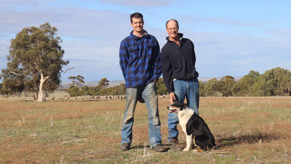 Peter (left) and Darrel Hudson with dog Charlie. Putting Merino rams back into their sheep operation was an easy decision for the Hudson family due to the breed's dual-purpose attributes.