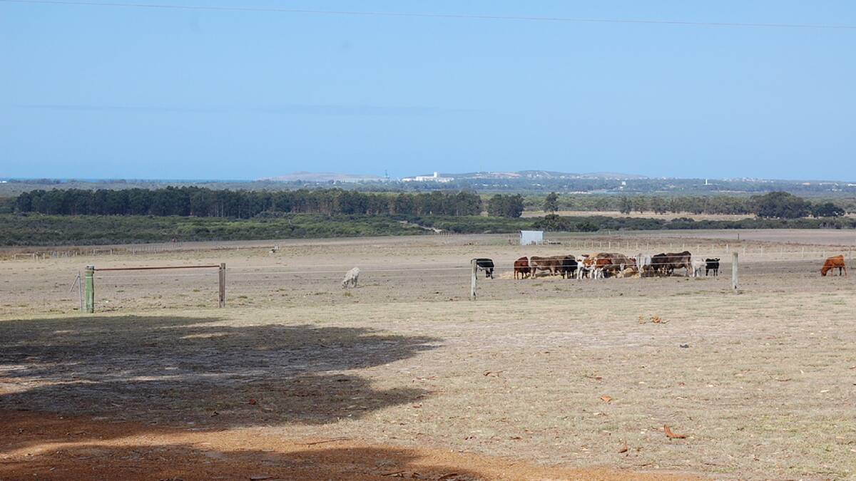 Rural home with acreage at Esperance
