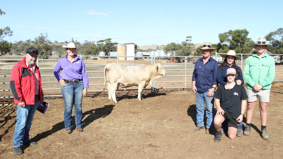 With the $7250 top-priced Charolais bull Liberty Quartermass Q46 (P) (by Liberty Just Ramblin Along J35) at the Liberty Charolais and Shorthorn stud's annual yearling bull sale held on-property at Toodyay last Friday were Lynton Saunders (left), Elders Toodyay and Northam, Morgan Yost, Liberty stud and buyers Cobb Smith (left), Kerry Grey, Brenden and Austin Smith, Cob Enterprises, Northam.