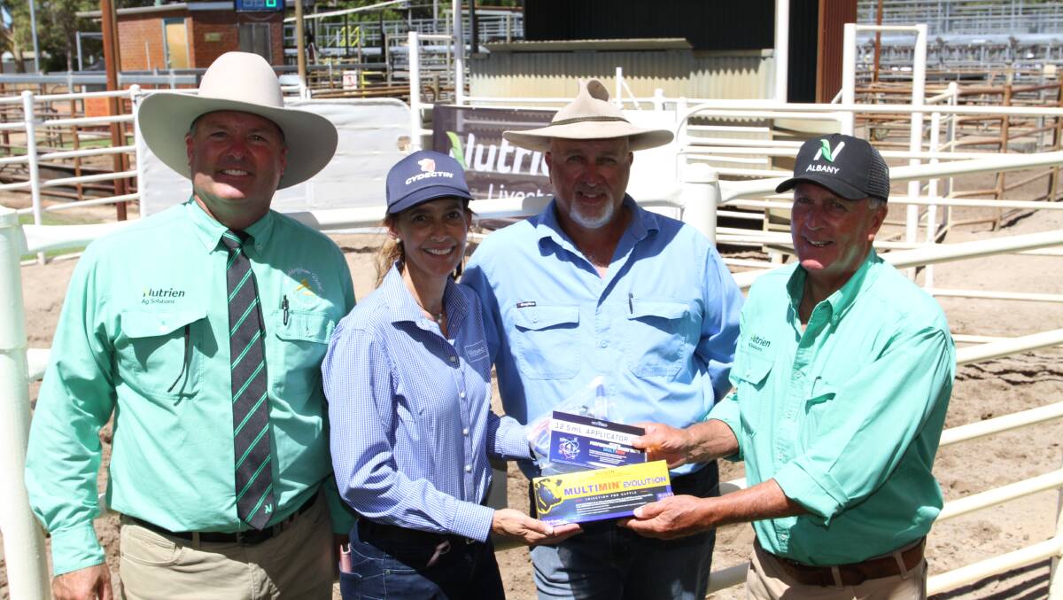Nutrien Livestock auctioneer and Capel agent Chris Waddingham (left), top-priced bull sponsor Kylie Meloury, Virbac central WA area sales manager, Black Market Angus stud principal Paul Torrisi, Boyanup and Nutrien Livestock Great Southern livestock manager Bob Pumphrey who purchased the new stud record $44,000 top-priced bull at the annual Black Market bull sale at Boyanup on behalf of WJ & FJ Graham and Monjingup Angus in share with Allegria Park Angus stud, Esperance.