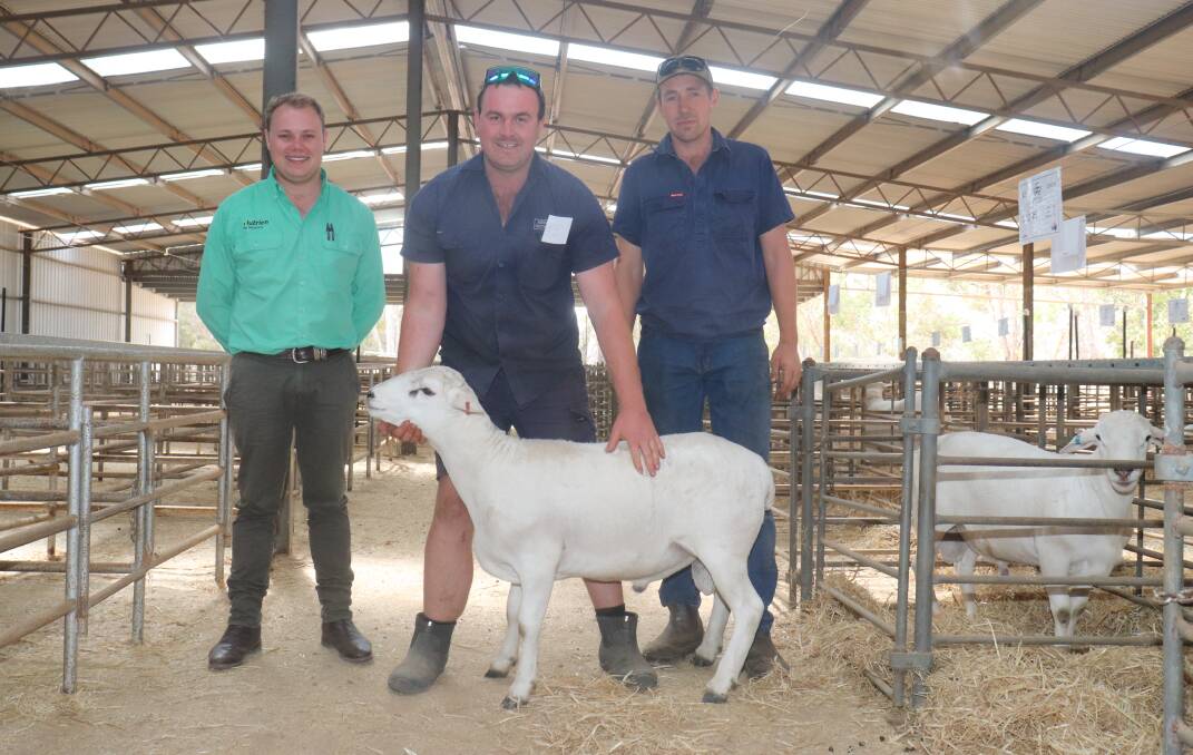 With the $2700 top price Australian White ram at this years Babanginy sale was Babanginys Rhys Muir (left), buyer Wayne Littleton, AM Littleton & Son, Quindanning, and Nutrien Kojonup branch manager Stuart Richardson.