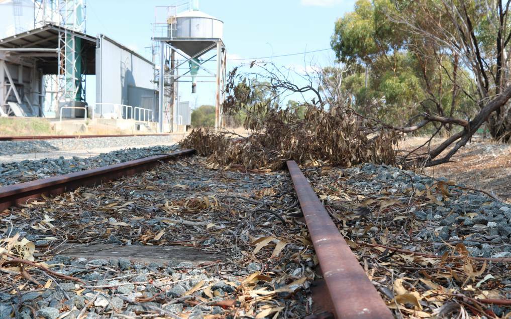 Fast-track needed on Kulin line for grain freight task