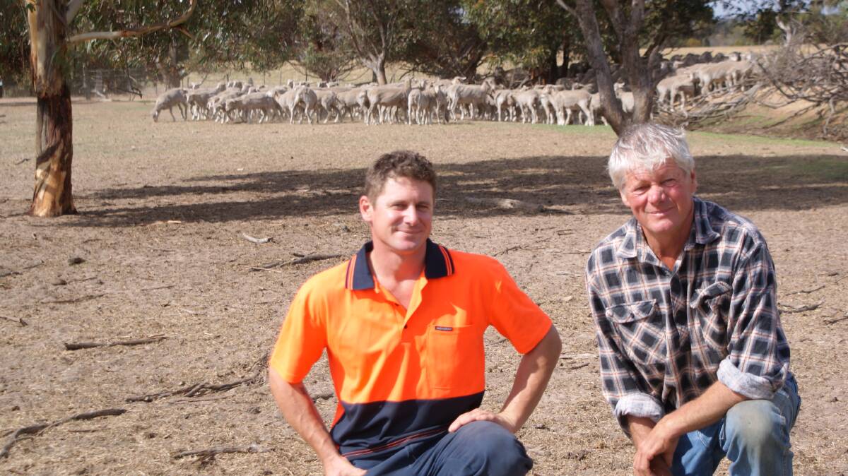 WAMMCO Producer of the Month March winners Lee and Peter Bessell-Browne pictured with lambs in their feedlot last week.