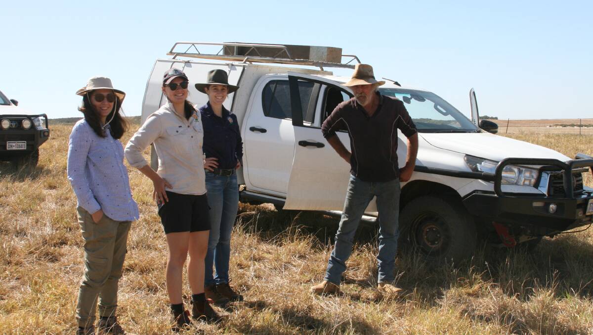 Don Bradshaw (right), Badgingarra, with DPIRD officer Nazanin Nazeri (left), West Midlands Group project officers Melanie Dixon and Erin O'Brien, in a perennial grass paddock with excellent groundcover despite the dry seasonal conditions, when pictured in March 2021, before autumn rain.