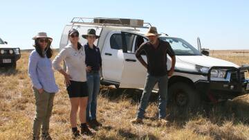 Don Bradshaw (right), Badgingarra, with DPIRD officer Nazanin Nazeri (left), West Midlands Group project officers Melanie Dixon and Erin O'Brien, in a perennial grass paddock with excellent groundcover despite the dry seasonal conditions, when pictured in March 2021, before autumn rain.