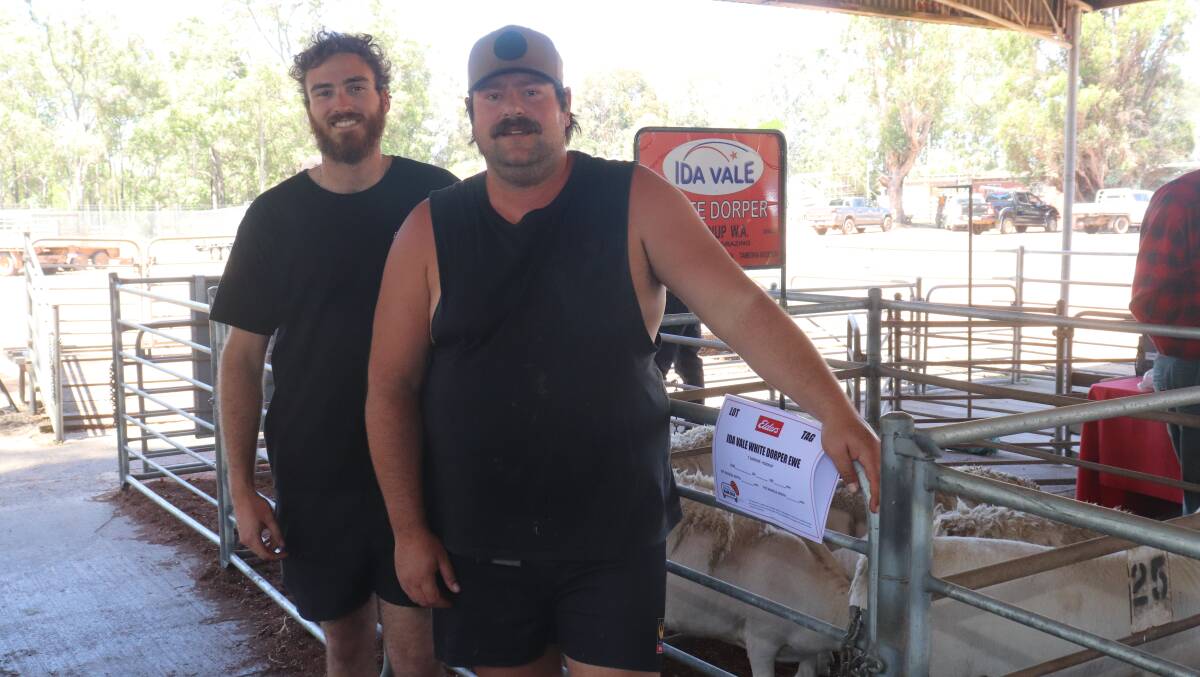 Ben Harris (left), Yarloop and James Hughes, Cookernup, looked over some of the sheep on offer at the Elders South West Invitational sale at Boyanup last week. Mr Hughes ended the day with a pen of four Dorper ewes from the Ida Vale stud at $300 per head and bought an Ida Vale Dorper ram after the auction for $700.