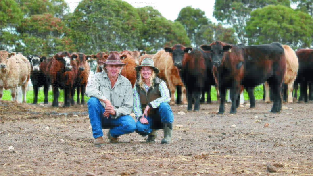  Bremer Bay beef producers Peter and Tanya Buckenara in their 500 head capacity feedlot. 