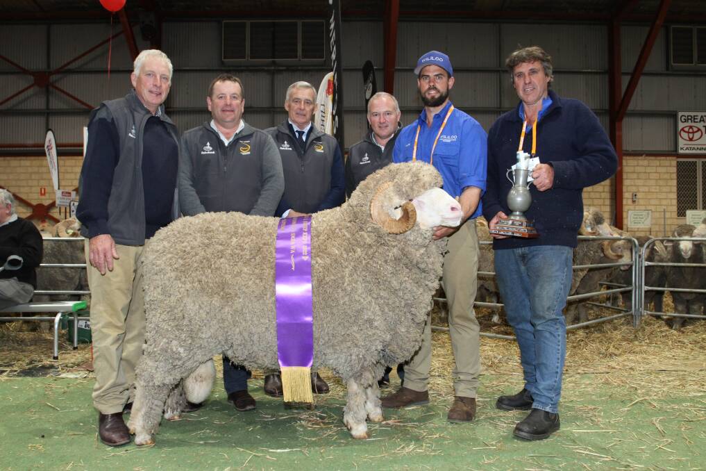 The 2022 Rabobank WA Katanning Sheep Expo & Ram Sale supreme exhibit was this August shorn Merino ram exhibited by the Wise familys Wililoo stud, Woodanilling. With the grand champion August shorn Merino ram and champion August shorn fine-medium wool Merino ram were judges Nigel Brumpton (left), Mount Ascot stud, Mitchell, Queensland, Paul Meyer, Mulloorie stud, Brinkworth, South Australia, Stuart Hodgson, AWI sheep industry specialist and Peter Wallis, Glenlea Park stud, Keith, South Australia, and Wililoo stud principals Rick and Clinton Wise.