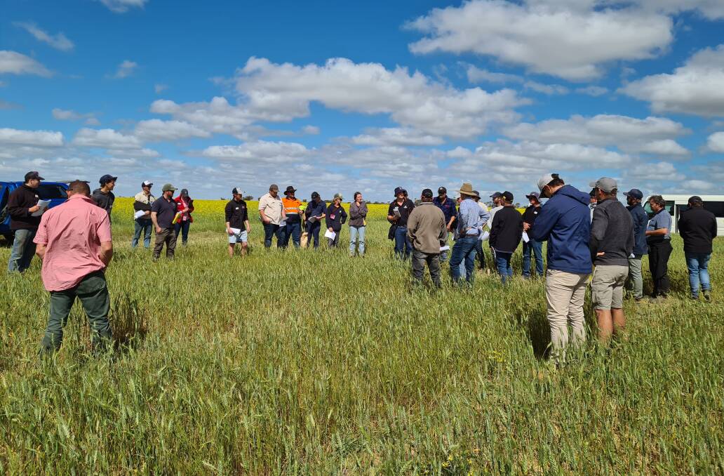  Imtrade national technical manager Michael Macpherson presents the trial at the Liebe Group Spring Field Day.