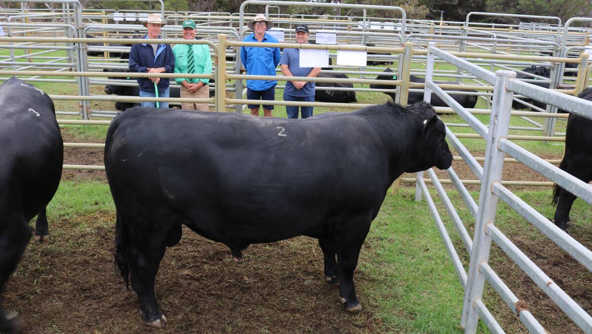 With the second bull of the day to sell for $23,000 which was paid by New South Wales-based Texas Angus stud were Coonamble stud co-principal Murray Davis (left), Landmark Southern livestock manager Bob Pumphrey, Coonamble stud co-principal Craig Davis and Allegria Park Angus stud principal Andrew Kuss, Esperance, who travelled to the sale to bid on behalf of Texas Angus.