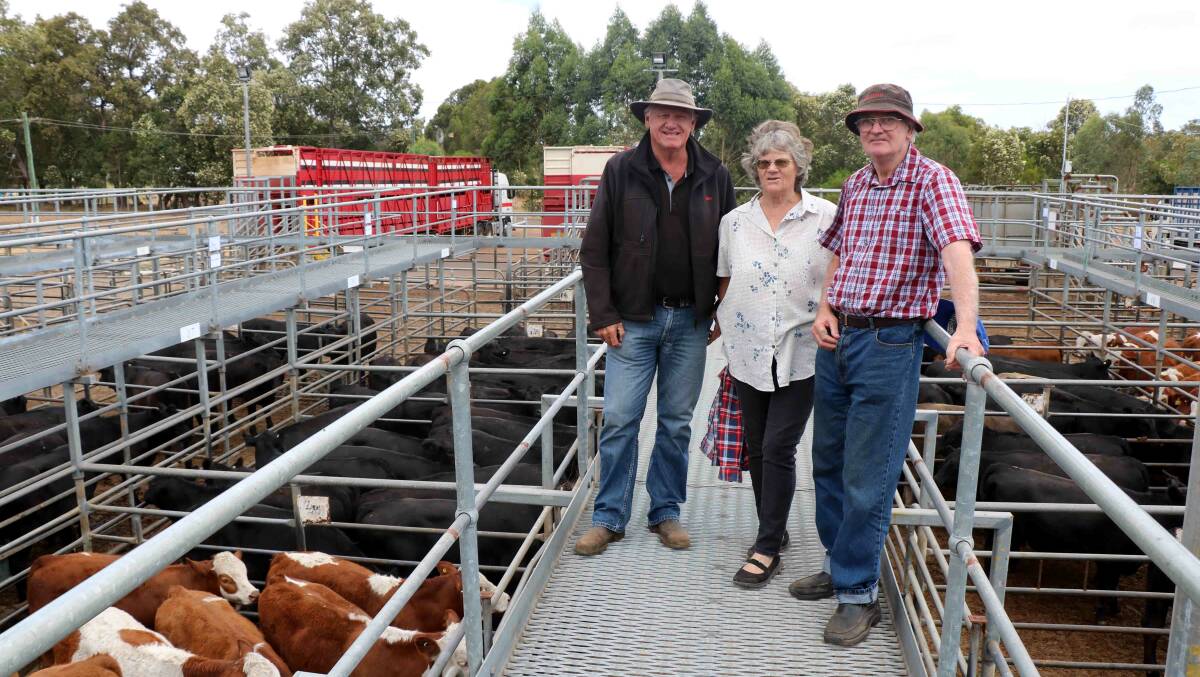 Deane Allen (left), Elders Donnybrook, with clients and sale vendors Robyn and John Lees, Wilga, looking over their Simmental steers that sold for 340 cents a kilogram.