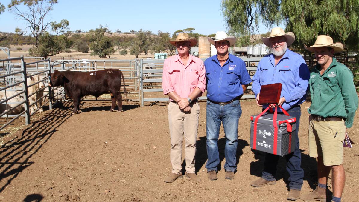 With the $6000 top-priced Shorthorn bull Liberty Talladega T43 (PP) (by Liberty Quarterback Q21) purchased by Ethel Creek station, Newman, were Elders, Gingin agent Geoff Shipp (left), Liberty Charolais and Shorthorn stud co-principal Kevin Yost, Toodyay, top-priced Shorthorn bull sponsor Jason McKie, Zoetis and Nutrien Livestock pastoral agent Daniel Wood, who purchased the bull on behalf of Ethel Creek station.