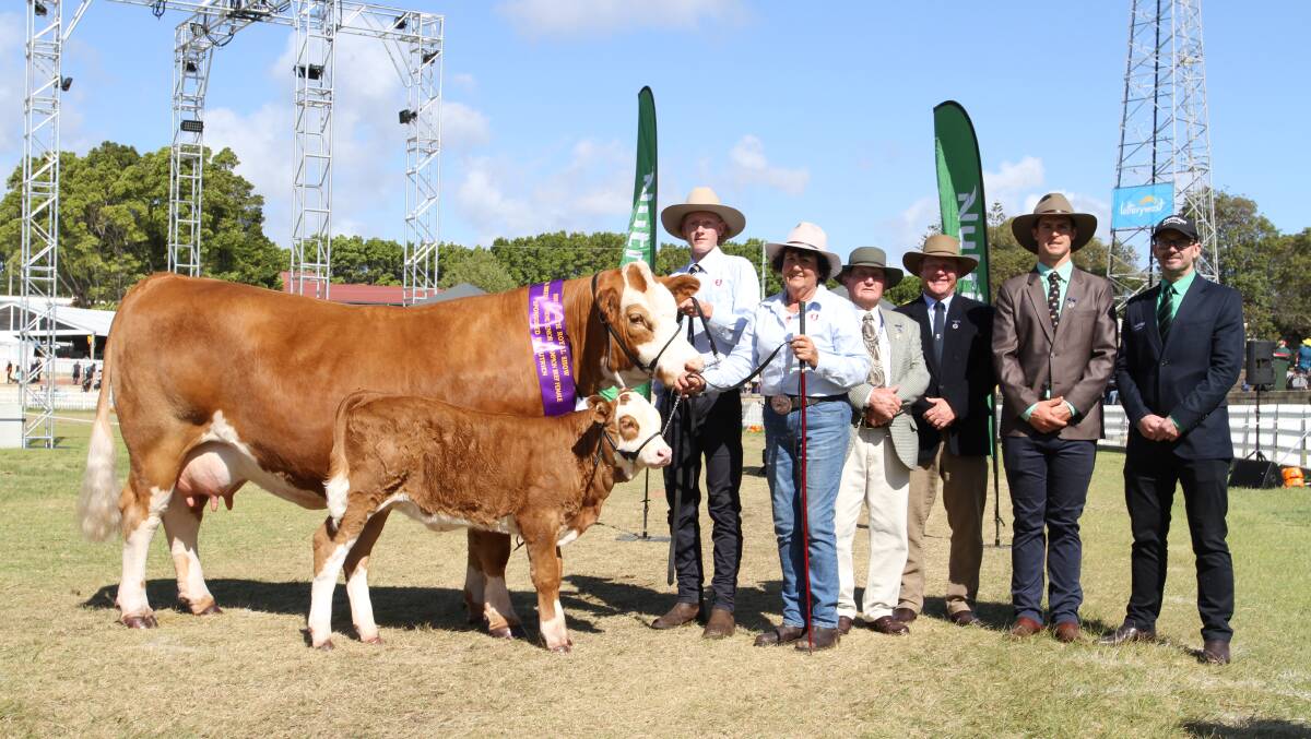 With the interbreed senior champion female Bandeeka Nimmy N002 exhibited by the Bandeeka Simmental stud, Elgin, were Bandeeka stud connections Fletcher Wetherell (left) and Loreen Kitchen, judges Charles and Peter Cowcher, Willandra Simmental and Red Angus studs, Williams and Kurt Wise, Southend Murray Grey stud, Woodanilling and award sponsor Andrew Duperouzel, Nutrien Ag Solutions region manager west.