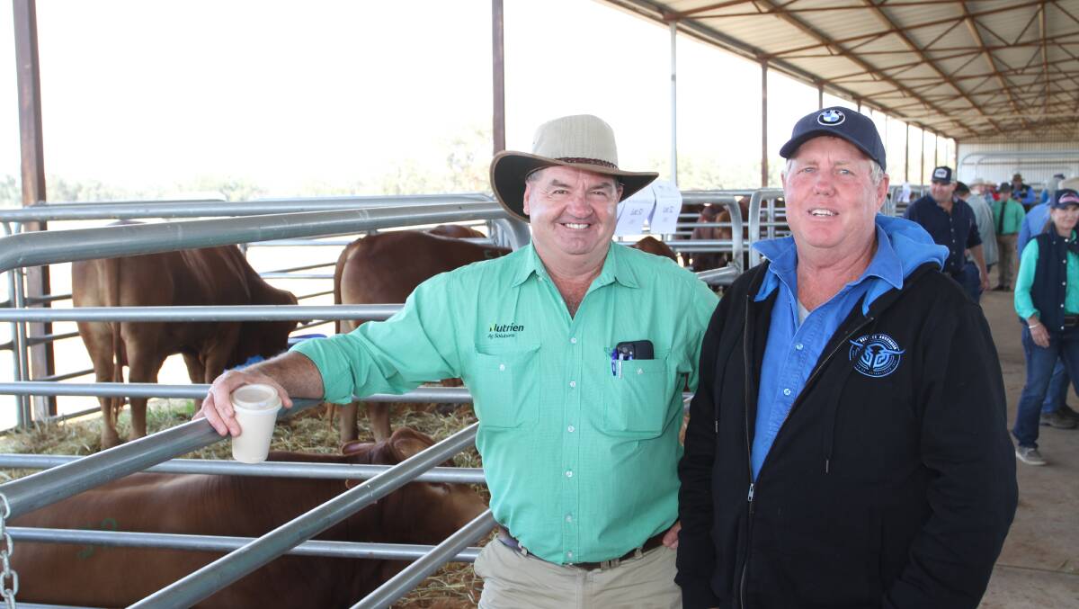 Nutrien Livestock, Esperance/Goldfields agent Barry Hutcheson (left) and buyer Phil Wedgwood, Minara Pastoral Holdings, Leonora, who purchased six Munda Reds bulls costing from $9000 to $12,000.