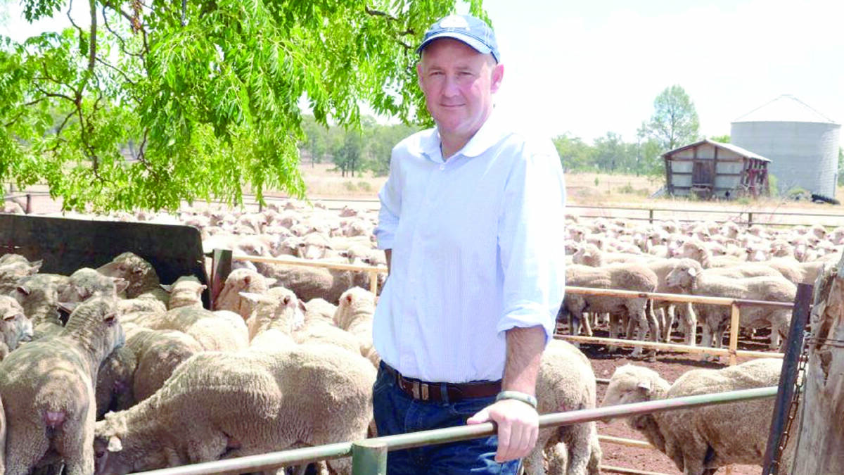 Australian Wool Innovation chief executive officer Stuart McCullough is unaware of any moves by China to ban imports of Australian wool.