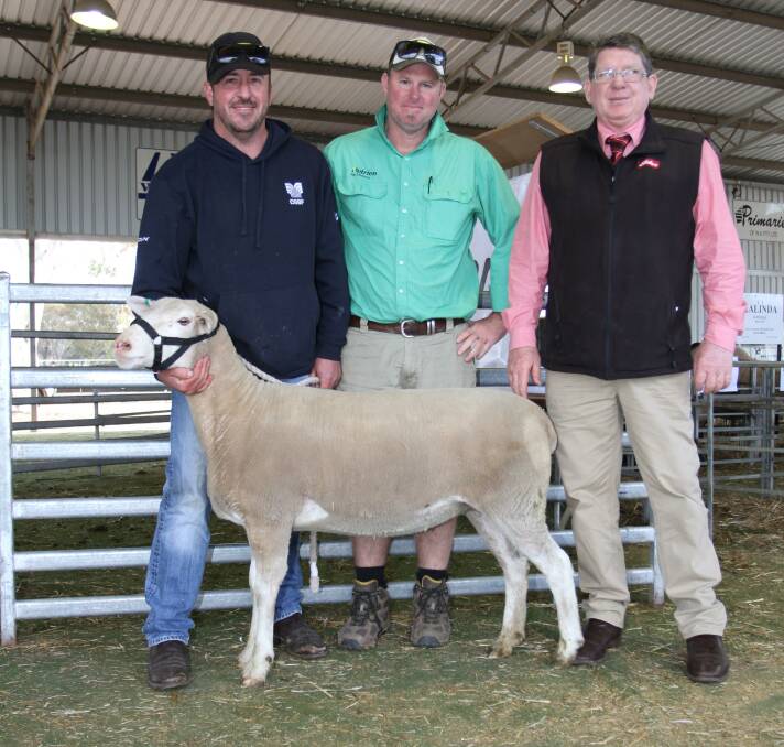  With the Ashbourne White Suffolk ewe that sold for the sale's $2050 top price were Ashbourne stud principal Simon Kerin (left), Katanning, buyer Chris Turton, Nutrien Livestock Pingelly and Elders prime lamb specialist Michael O'Neill. Mr Turton purchased the ewe on behalf of TS Duffield, Hamley Bridge, South Australia.