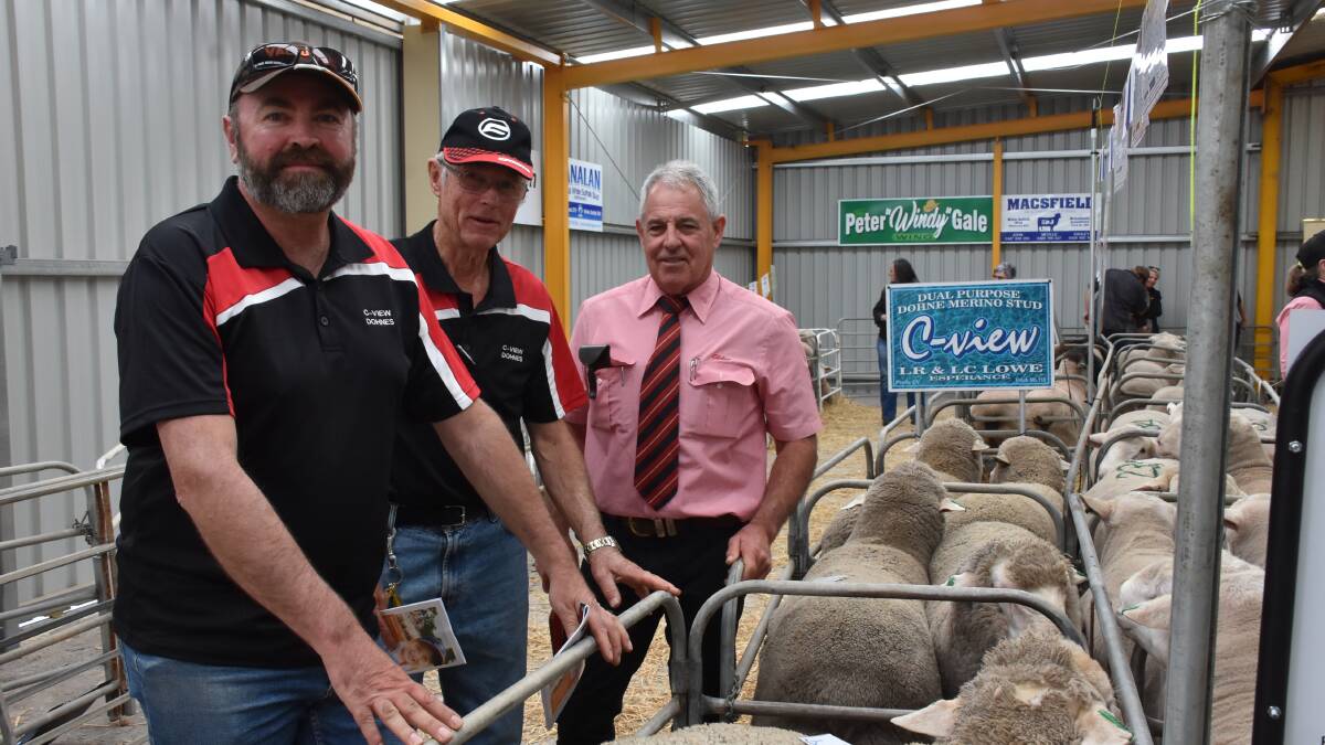 C-View Dohne stud's Jason (left) and Laurie Lowe looked over their rams before the sale with Elders Preston Clarke.
