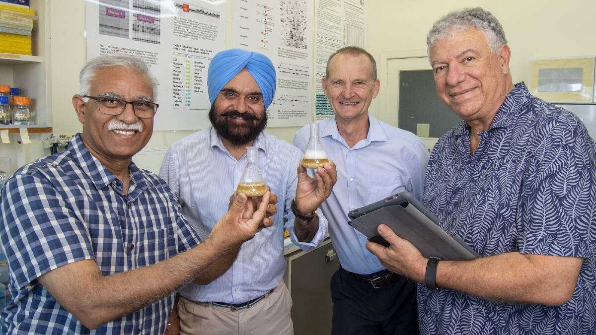 The DPIRD scientists involved in developing the new quinoa saponin quantification technology were Dr Darshan Sharma (left), Dr Harmohinder Dhammu and former employees Richard Snowball and Mario D'Antuono.
