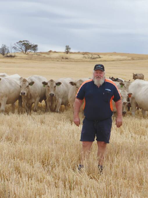 York producer Derrol Crane knows what the Charolais breed can do for his farming enterprise.