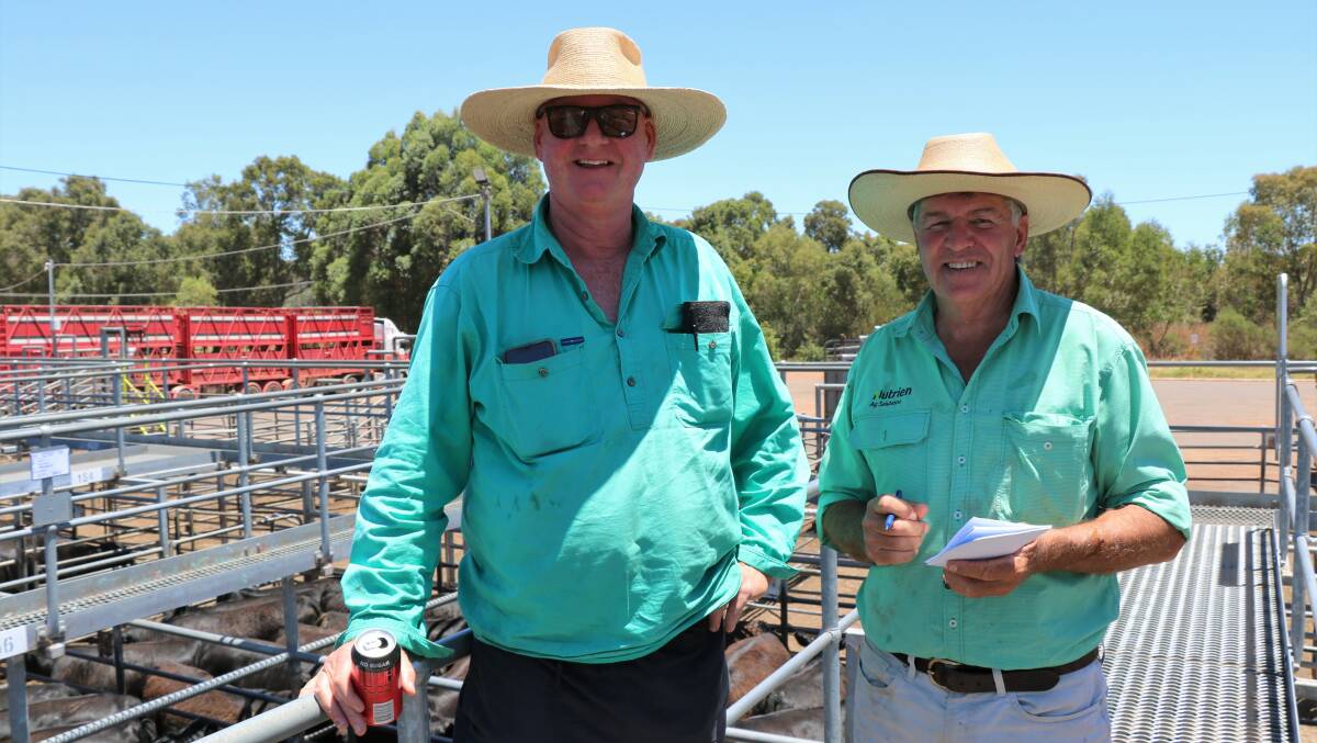 Kevin Armstrong (left), Benger, discussed the industry with Nutrien Livestock, Harvey/Brunswick agent Errol Gardiner before the sale. Mr Armstrong was among the buyers securing several pens during the sale.