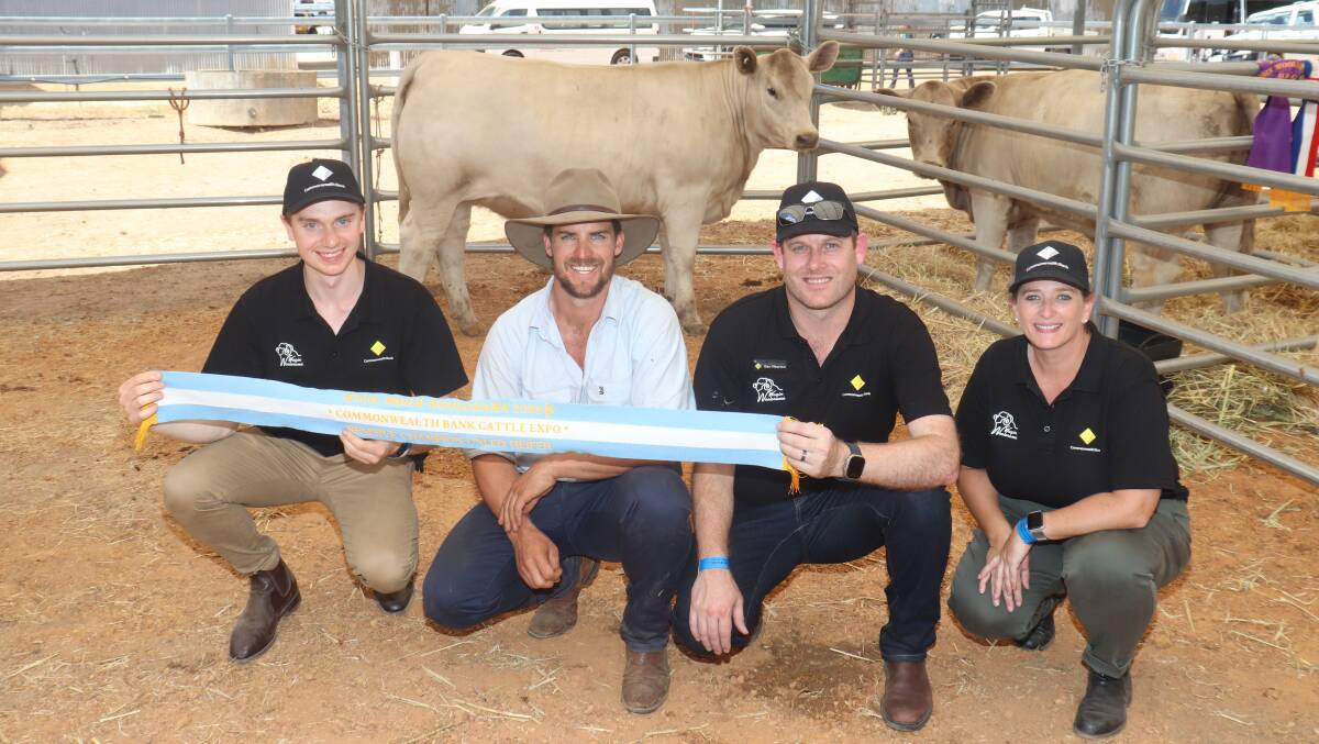 Southend Murray Grey stud co-principal Kurt Wise (second left), Katanning, with competition sponsors from Commonwealth Bank, Henry Hawkins (left), Ben Norton and Bron Tillett and his Murray Grey heifer Southend Cleopatra, the reserve champion unled heifer.