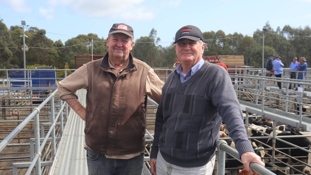 Kim Tuckey (left), Kookabrook Livestock Trust and John Gallop, buyer for O'Meehan & Co. Mr Tuckey secured a total of 12 pens of Friesian steers, stag, beef steers and first cross steers, while Mr Gallop purchased 12 pens of steers on behalf of O'Meehan & Co.