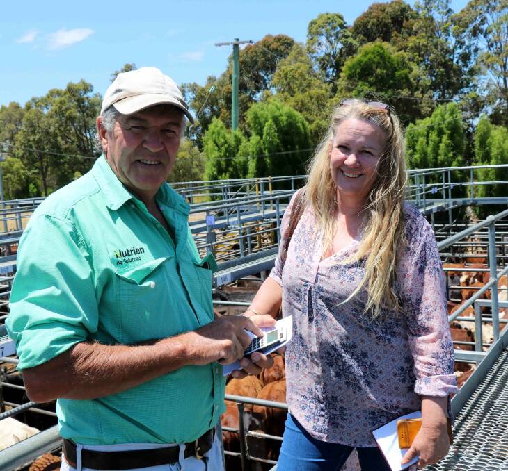 Nutrien Livestock, Brunswick and Harvey agent Errol Gardiner caught up with Sonia Bode, WFI Brunswick. Mr Gardiner later bought pens of Hereford calves for the second top price of 500c/kg for Ms Bode.