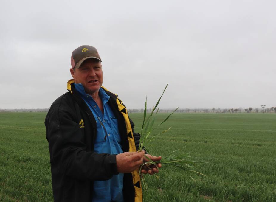 A promising cropping season is on the cards for Scott Uppill, north Tammin, with ideal seeding conditions allowing for a good germination of all crops.