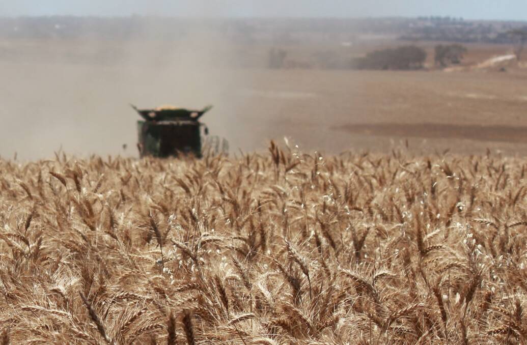 The global market requires Australian grain