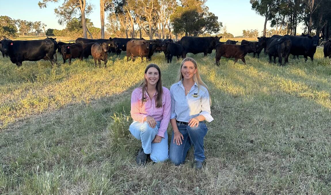 Bec (left) and Diana Muir at their familys stud, Mordallup Angus nestled in the Southern Forests region 50 kilometres East of Manjimup.