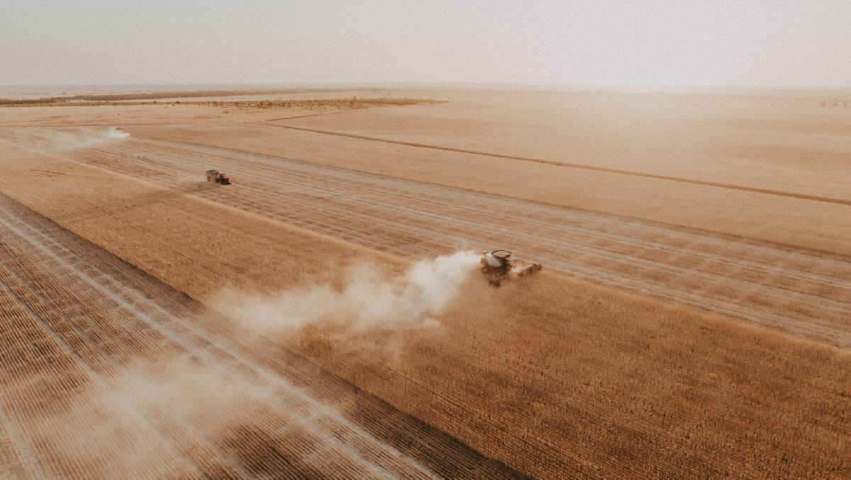 According to the latest GIWA Crop Report, total production for WA is expected to be 24.74 million tonnes. Photo by Ellie Morris, Perenjori.