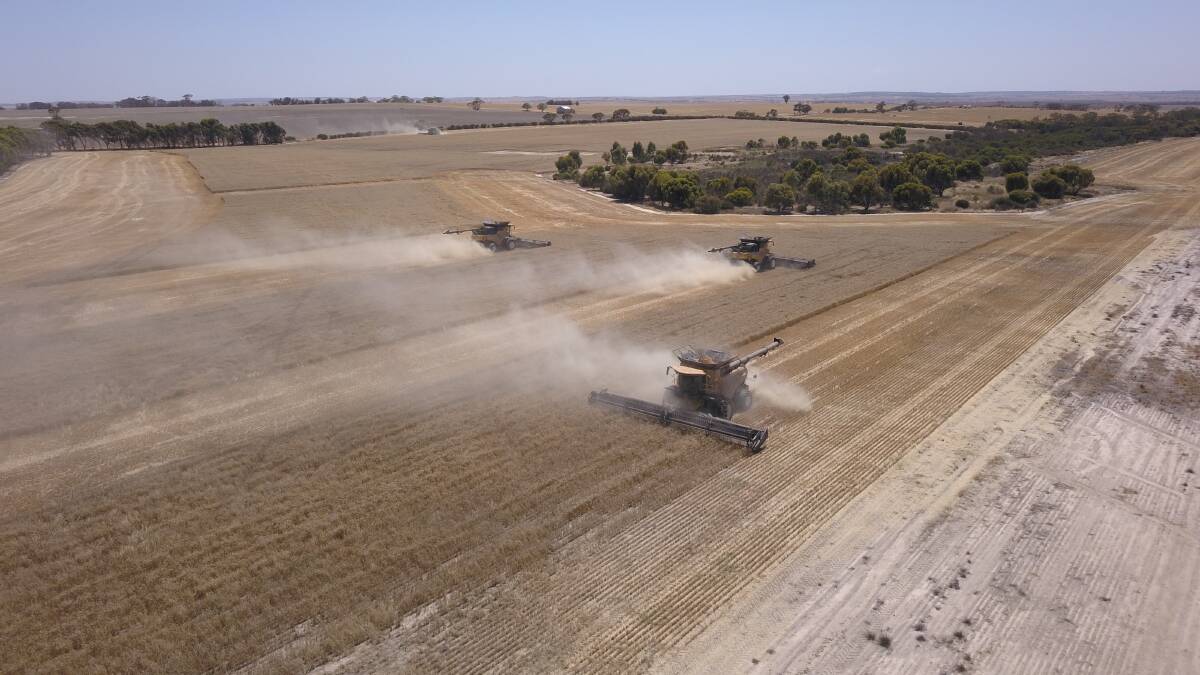 The Candeloros have Seed Destructors on all five of their New Holland CR10.90 harvesters, with several pictured in full swing during the recent harvest.